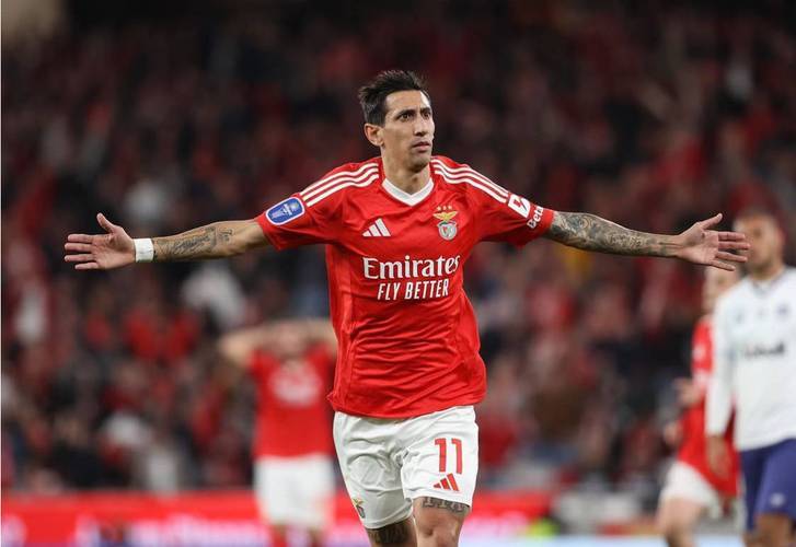 葡超关键时刻再迎强敌，本菲卡战术微调，主帅态度：球迷炸锅，细节决定成败的简单介绍